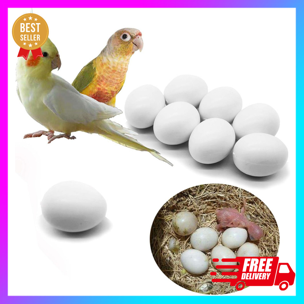 8 Pcs Solid Parrot Plastic Eggs Hatching Eggs Green Cheek, Lorikeet&Ringneck Etc