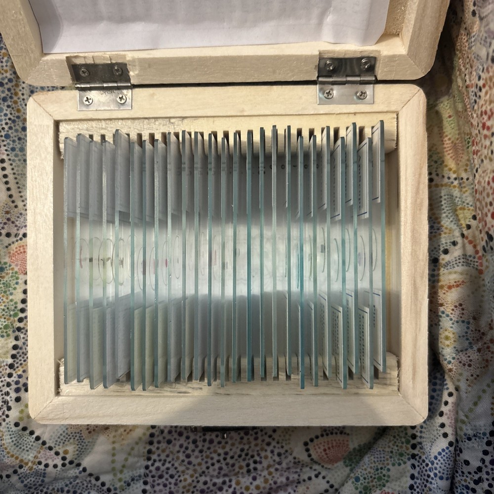 AmScope PS25W Prepared Microscope Slides 25 Science Education Learning New