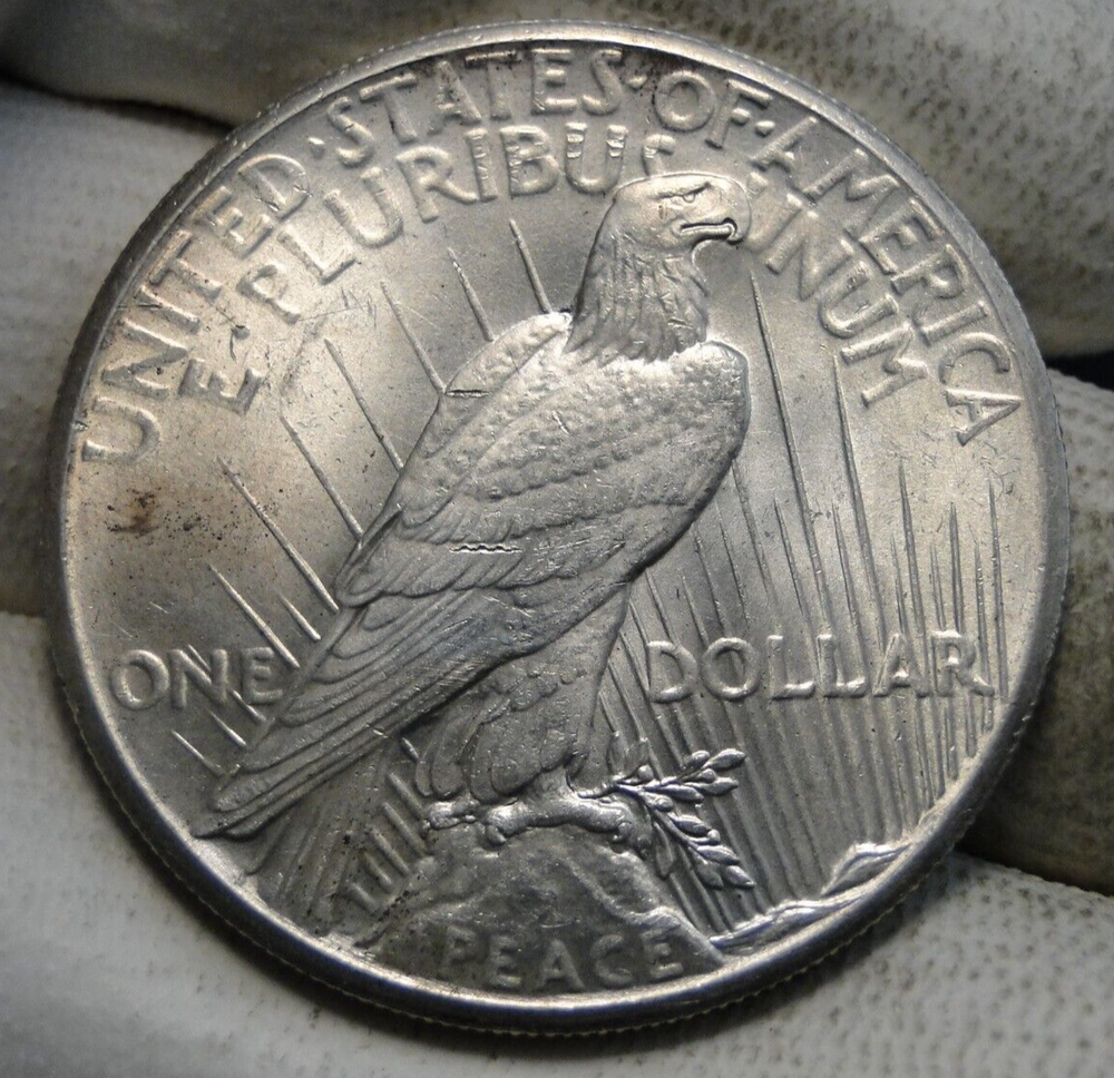 1928 Peace Dollar