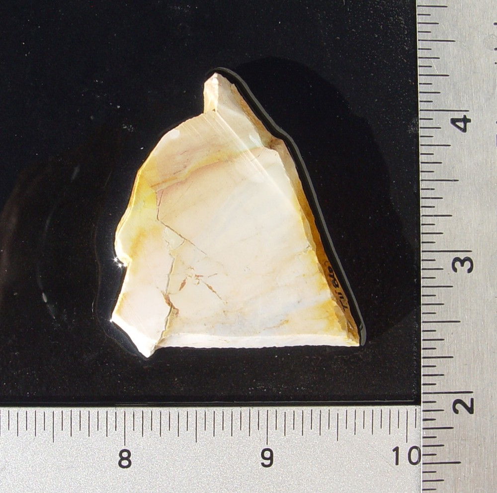 Crayola Jasper  Lapidary Slab             T1186