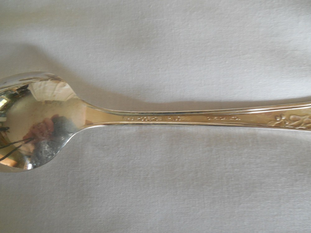 Wm A Rogers Oneida Meadowbrook 44 pieces