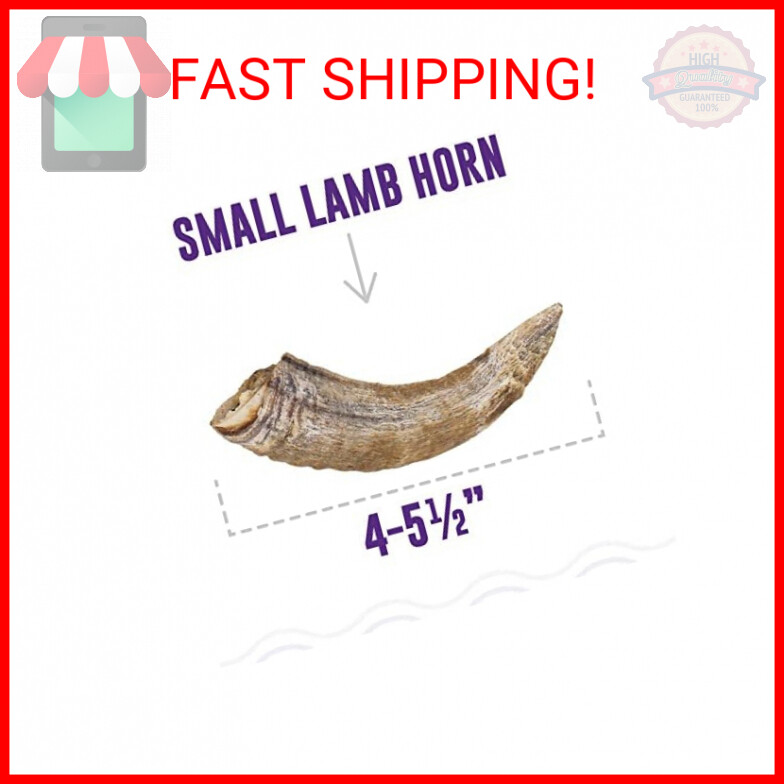 Icelandic+ Small Lamb Horn with Marrow Dog Chew