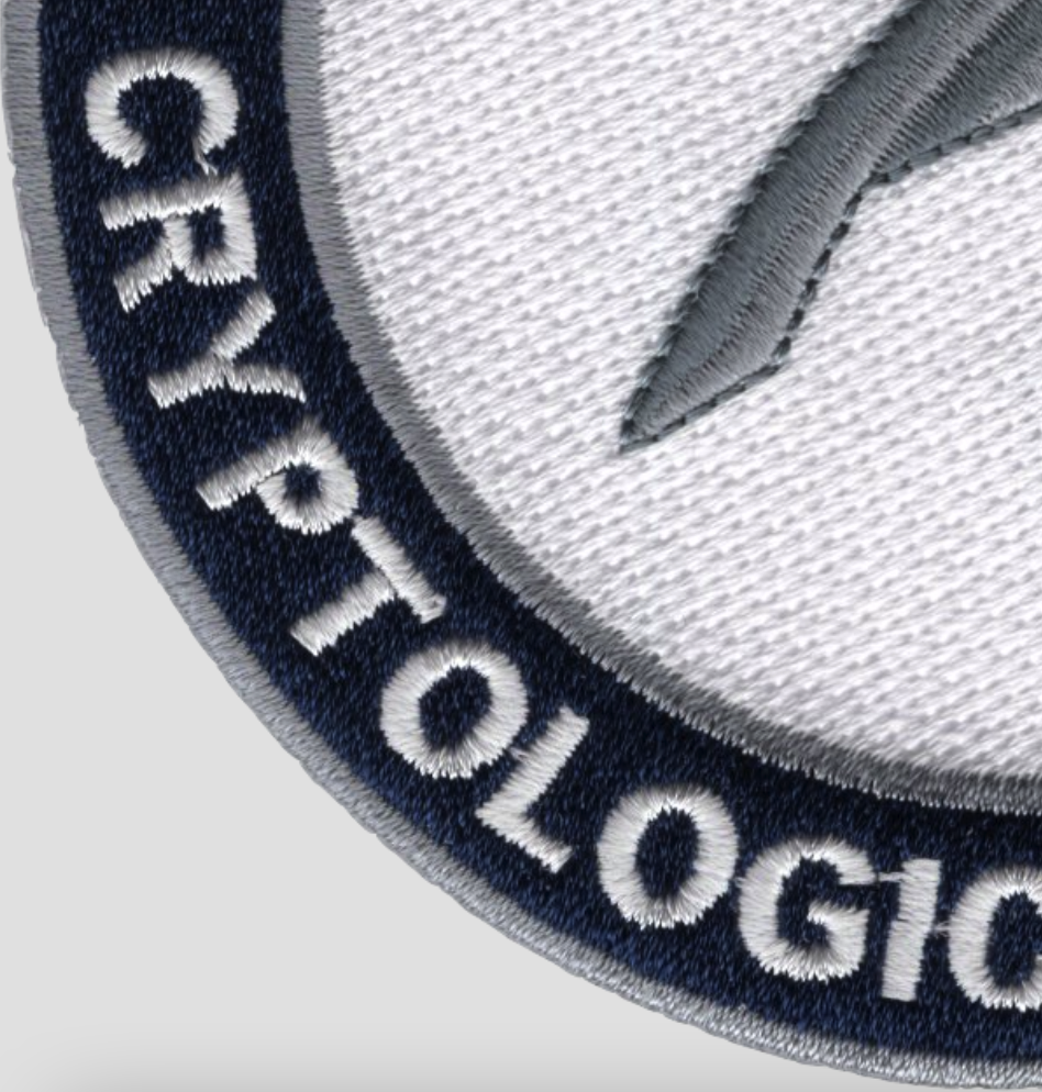 US Navy Cryptologic Technician CT Patch