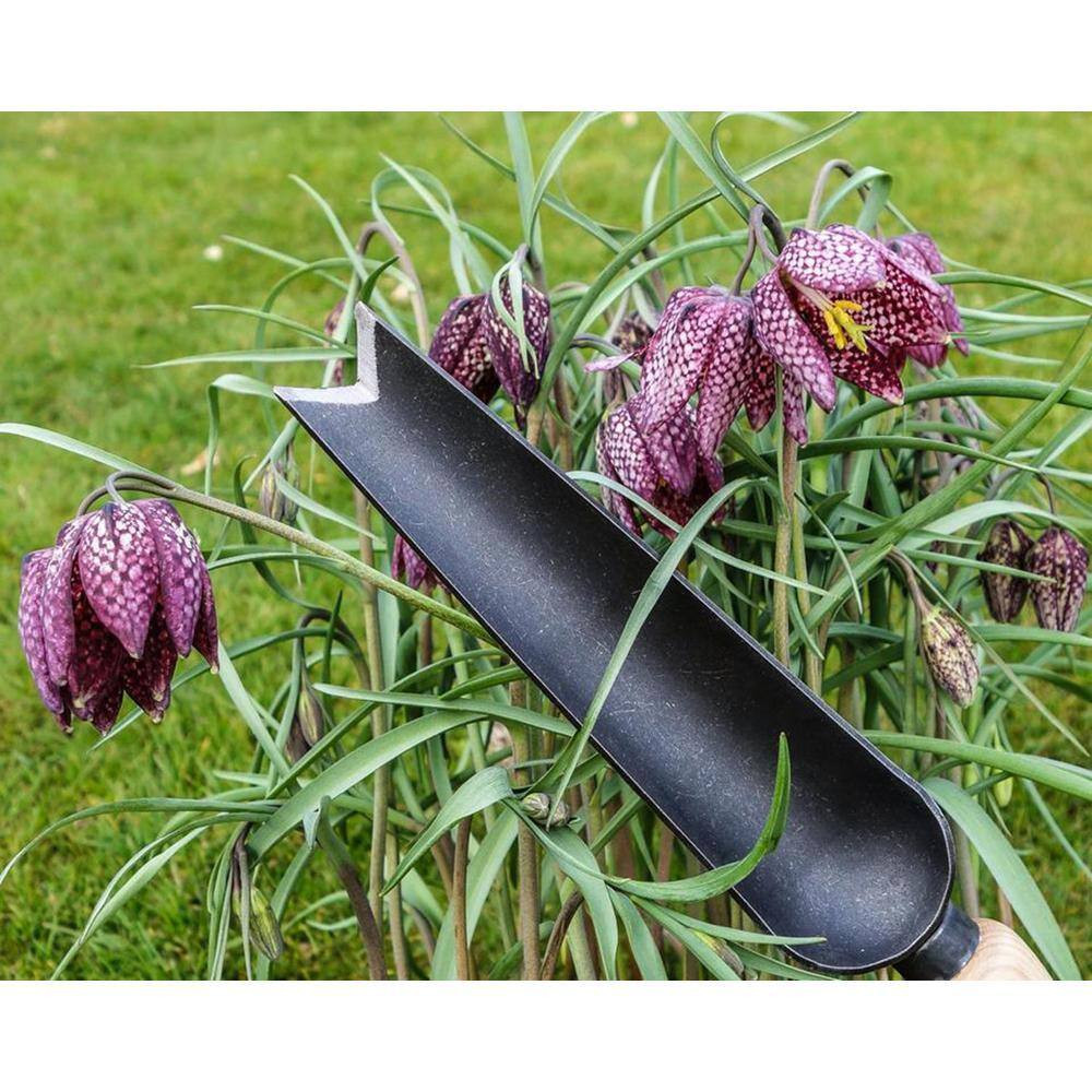 Snake Tongue Trowel