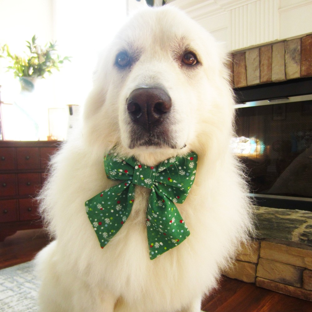 Triangles Pet Bow Tie or Sailor Bow-4 Sizes Available
