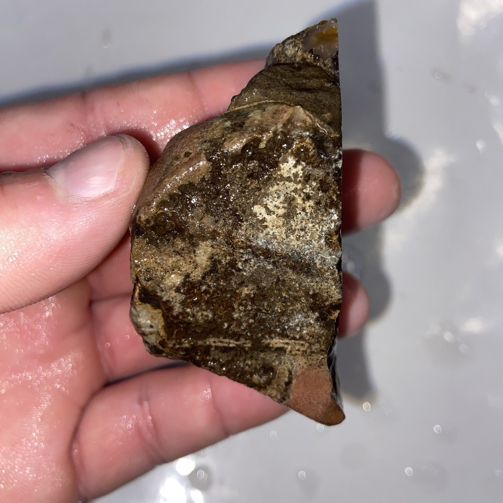 Very Unique Double Celled Agate Rough Stone 4 Oz