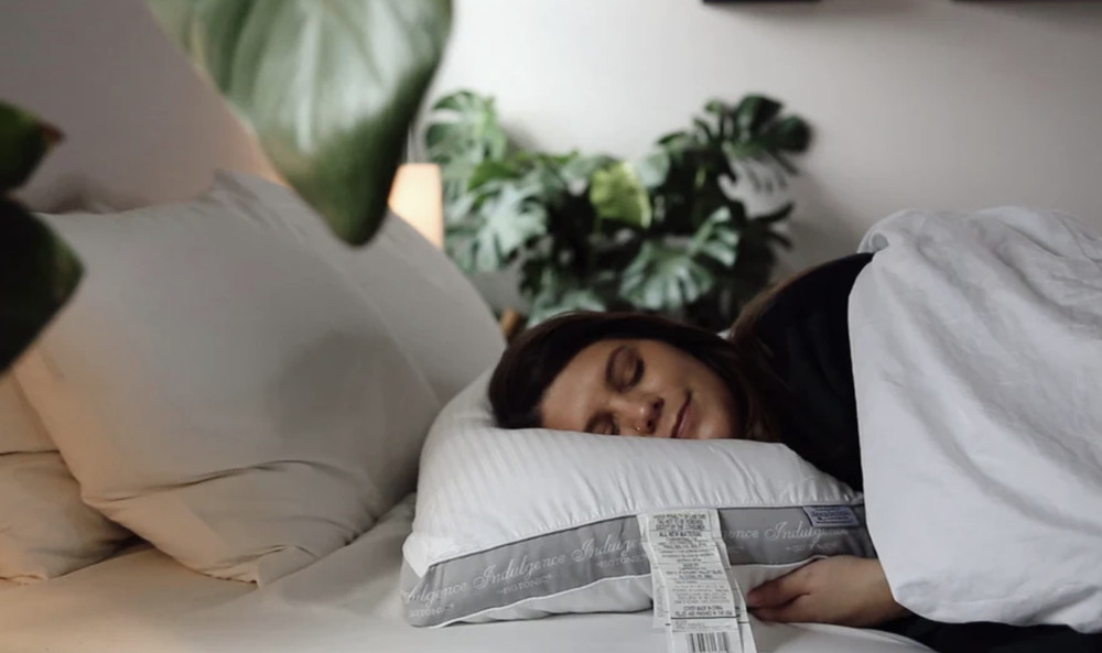 Indulgence by Isotonic Synthetic Down Side Sleeper Pillow