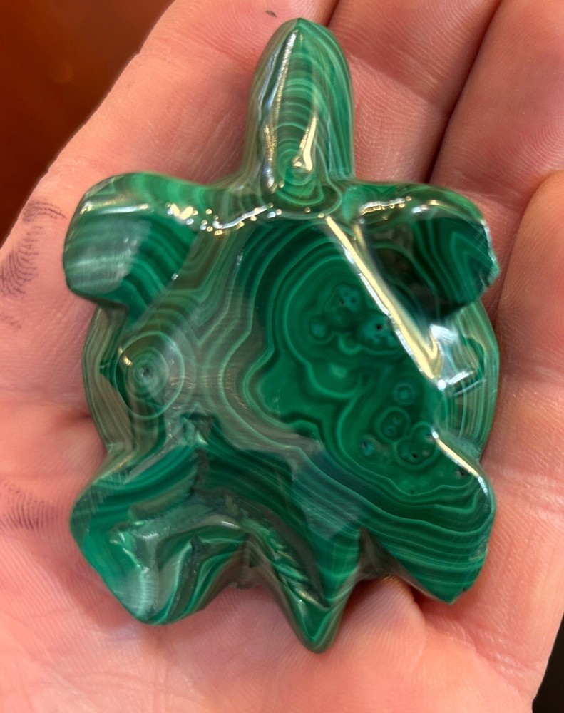 2” Malachite Turtle
