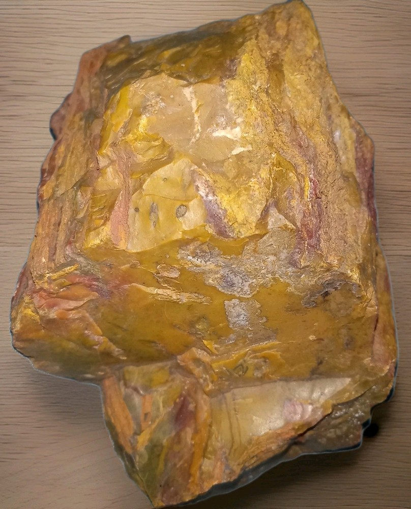 Petrified Wood w Bark Rough 342g