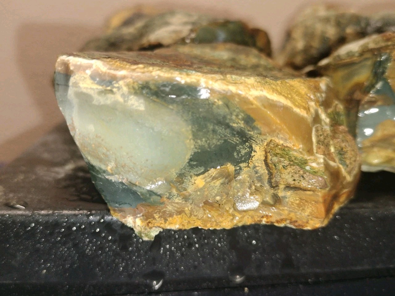 8.7LB ORBS Blue Mountain Picture Jasper Rough 6pc Lot #27