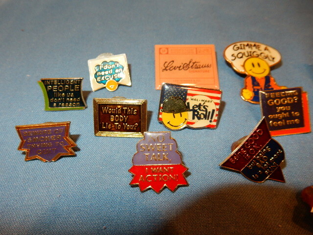 19 Brooch Pins