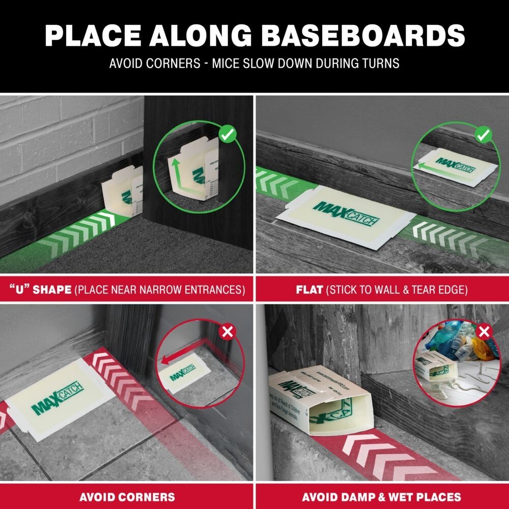 Catchmaster Max-Catch Mouse & Insect Glue Trap