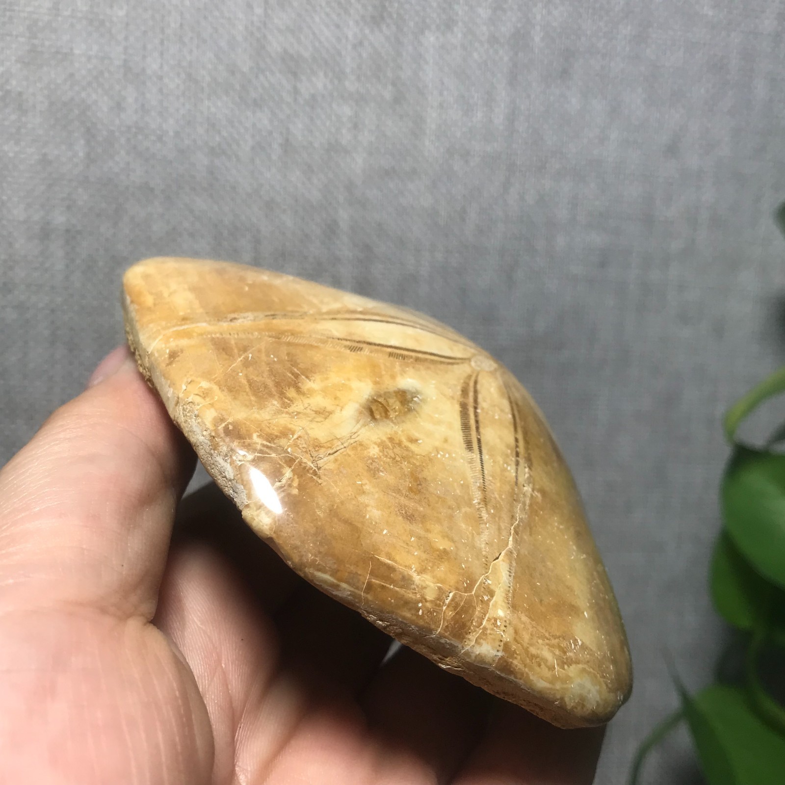 229g Starfish Crystal Specimen 08