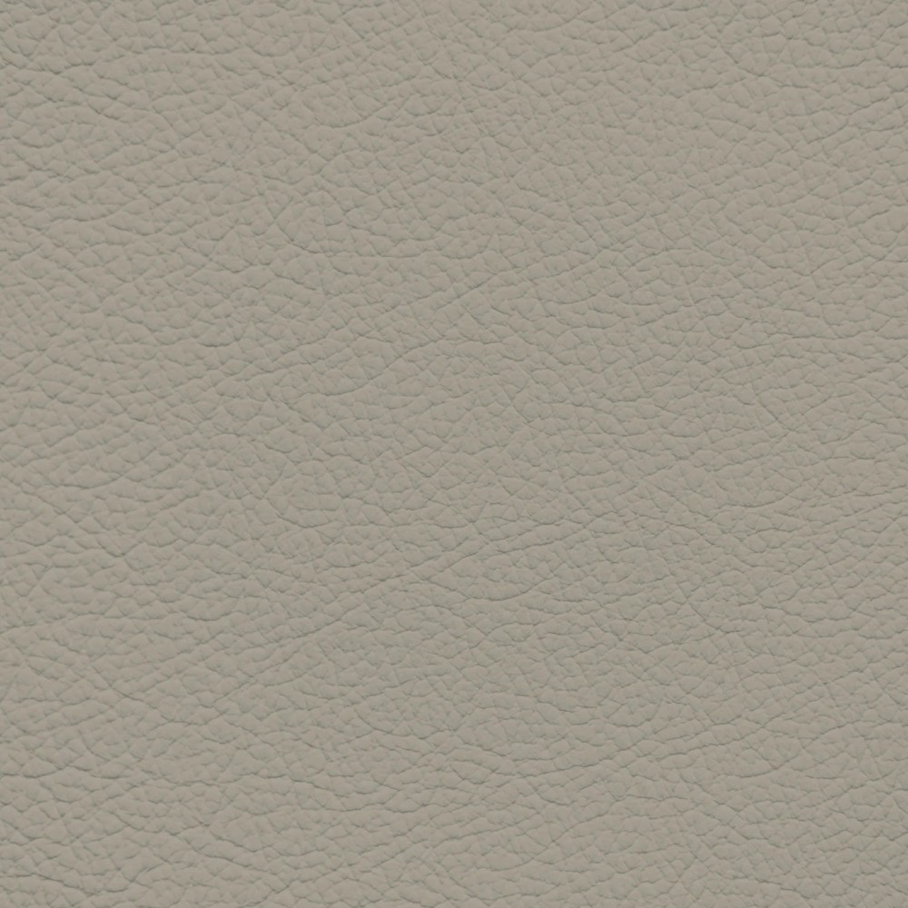 Subaru Warm Ivory Leather Dye