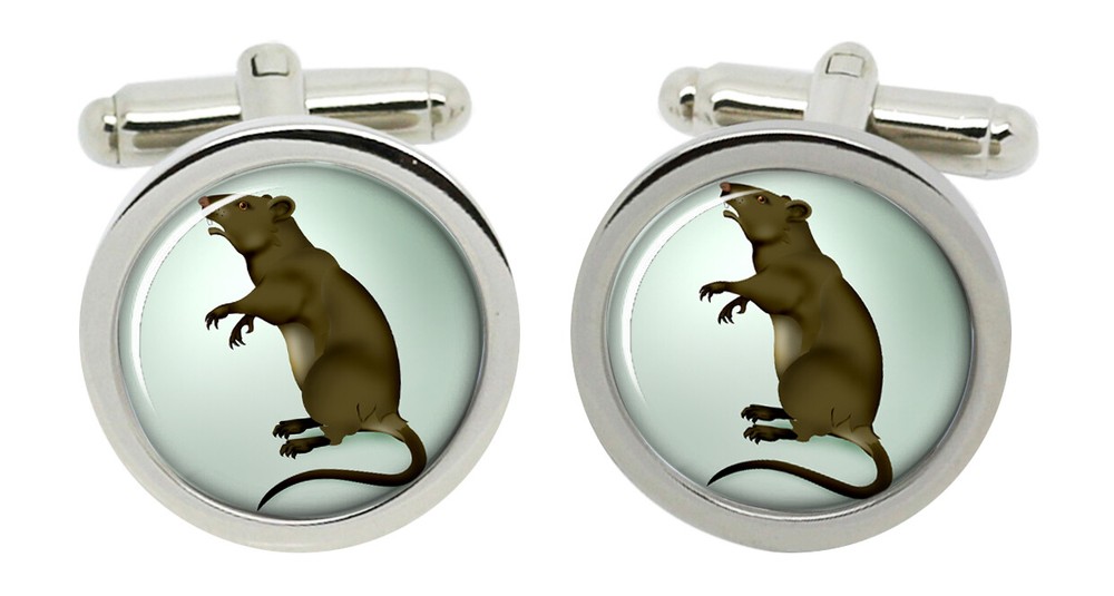 Rat Cufflinks in Chrome Box