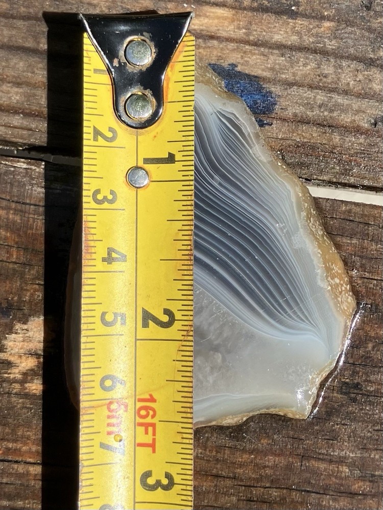 Botswana Agate Rough Slab 7 Mm Thick Lapidary Cabbing Display