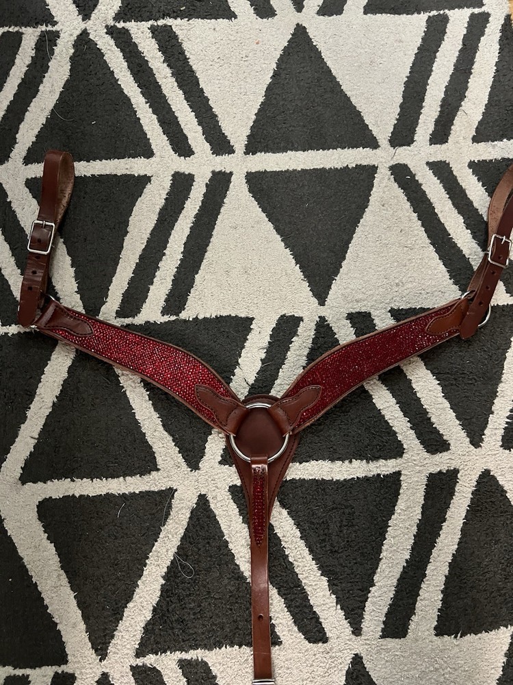 Custom Bedazzled Breast Collar!❤️