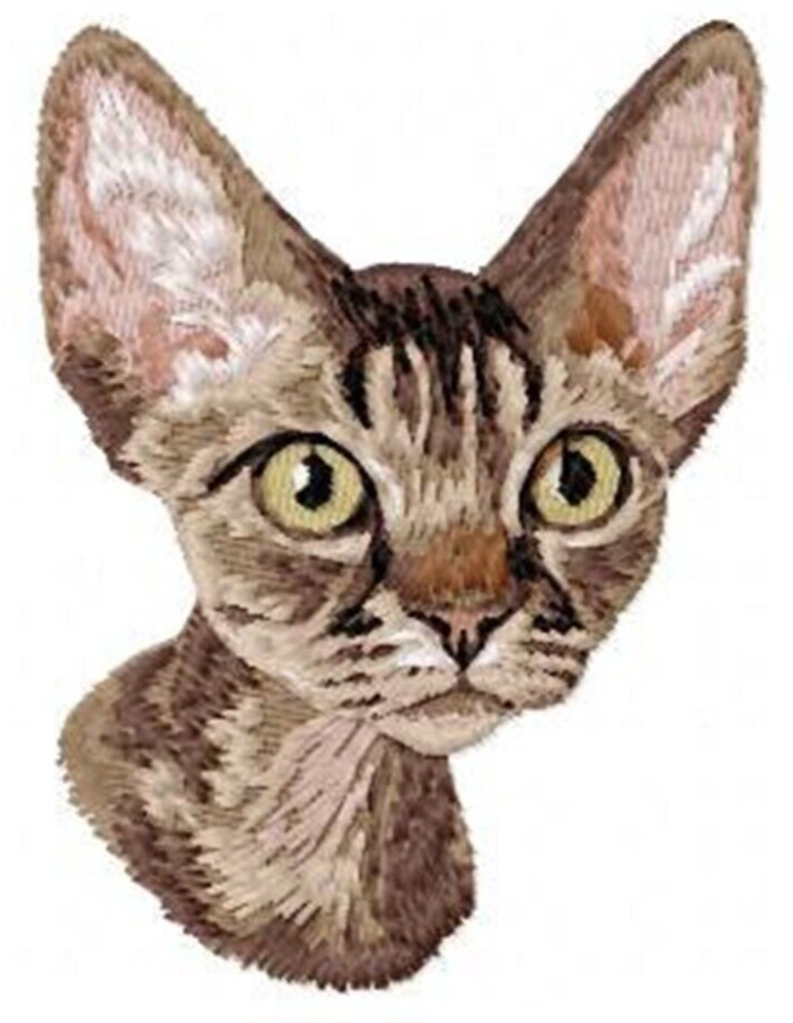 DEVRON REX Cat Breed 2 Embroidered Hand Towels Personalized