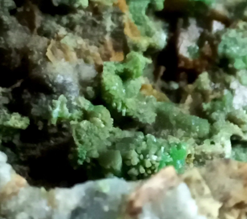 Pyromorphite Sardinia