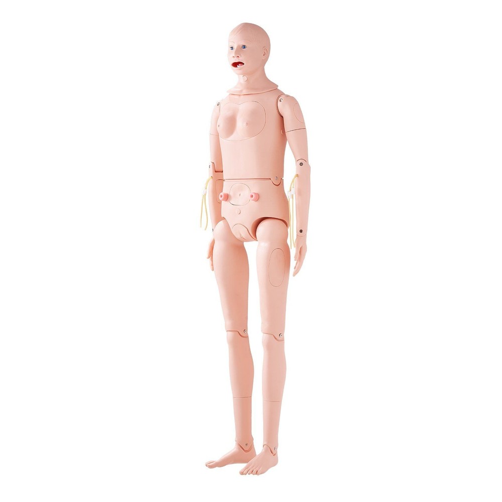 Life-Size Anatomical Care Simulator with Multifunctional Training Features