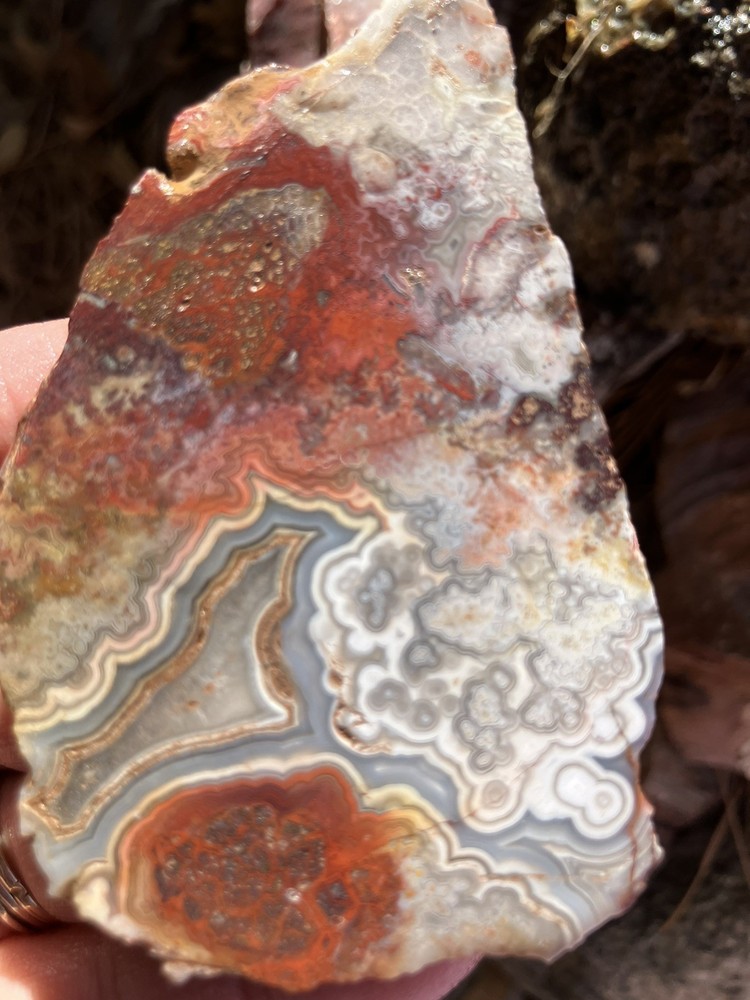 Crazy Lace Agate Slab