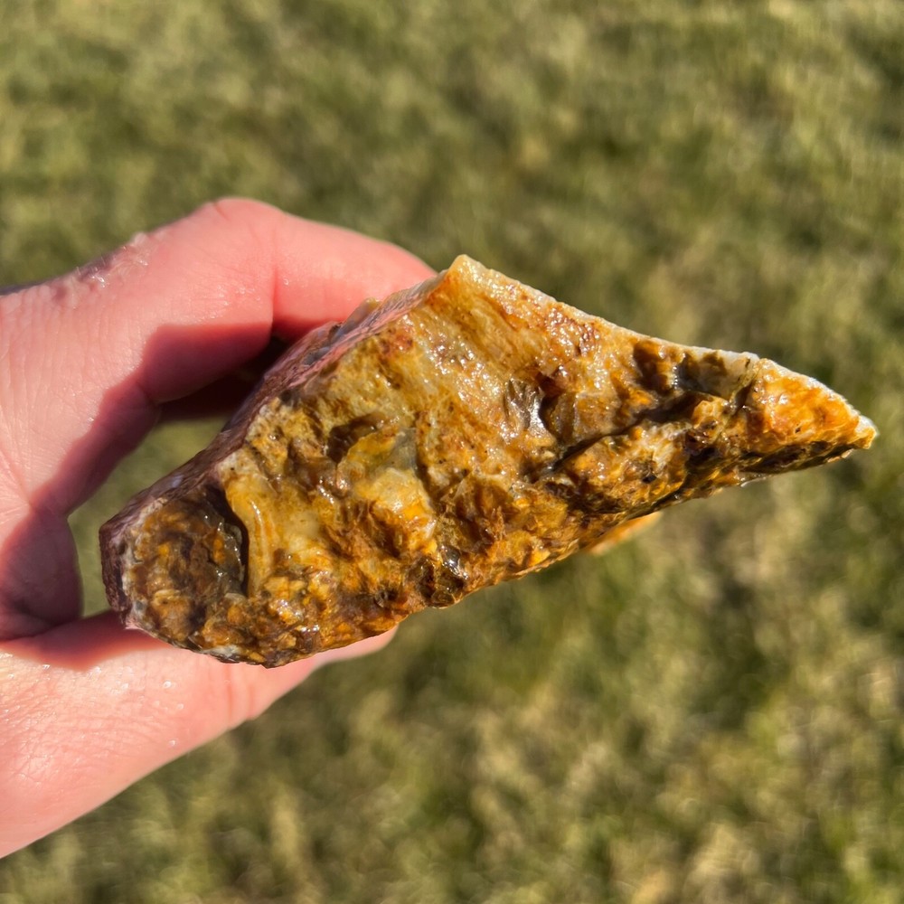 Stinking Water Plume Agate Rough Cut Specimen 452gm (R12)