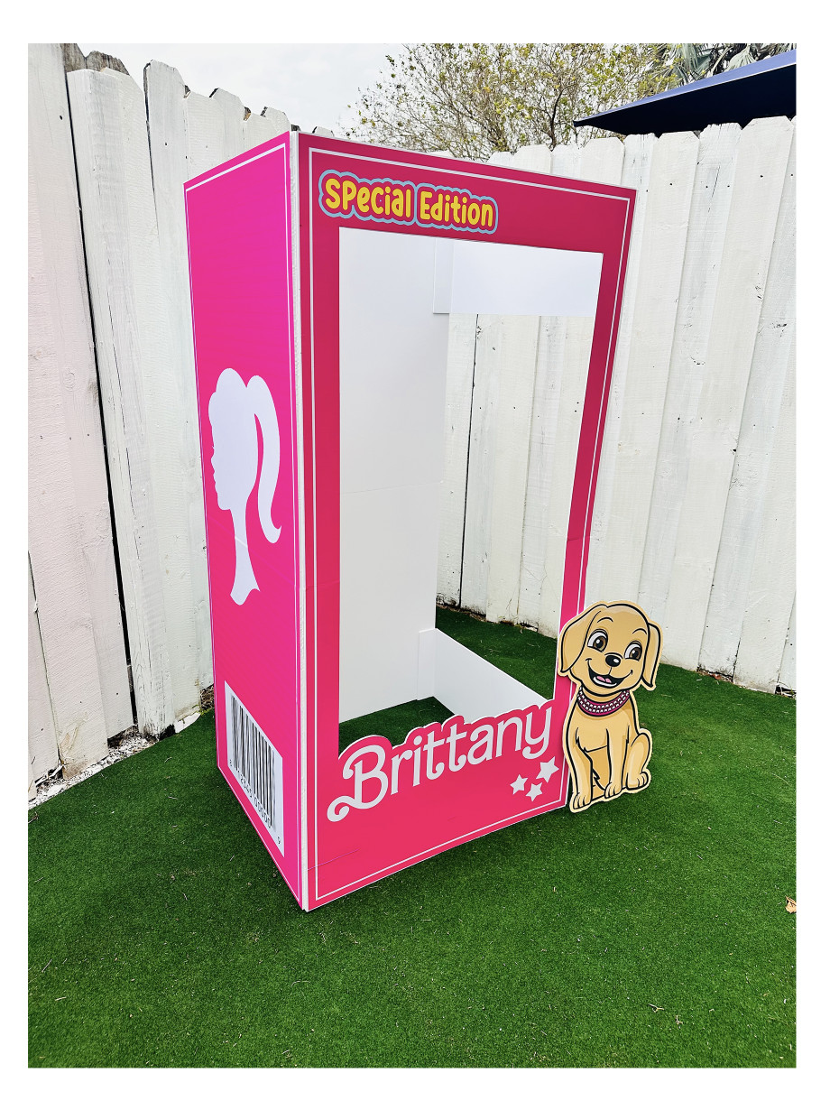 Doll photo booth, popular pink doll, birthday girls, barbie inspiration