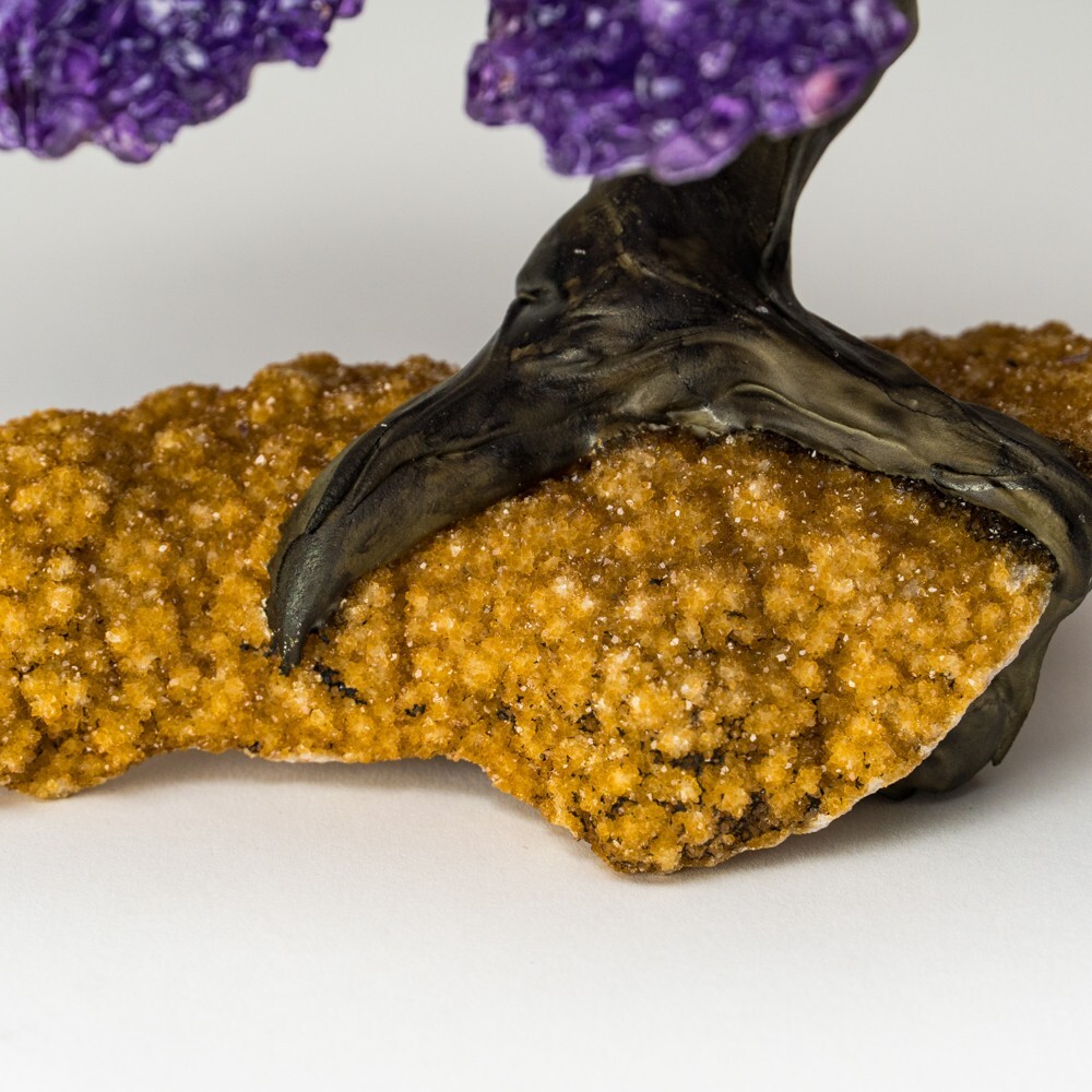 Amethyst Clustered Gemstone Tree on Citrine Matrix (The Empowerment Tree) 7"