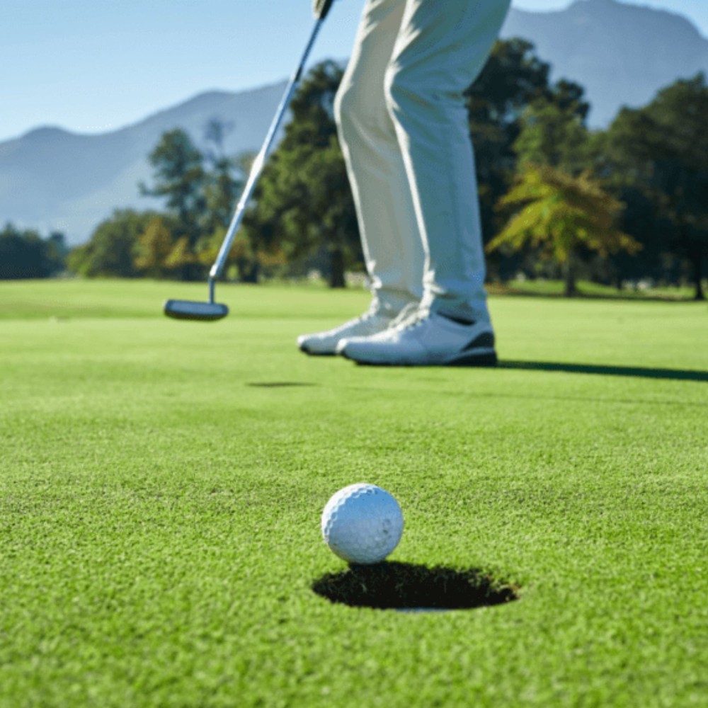 Portable Pro Golf Putting Mat Trainer