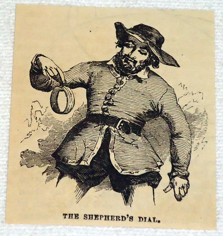1882 small magazine engraving ~ THE SHEPHERD'S DIAL
