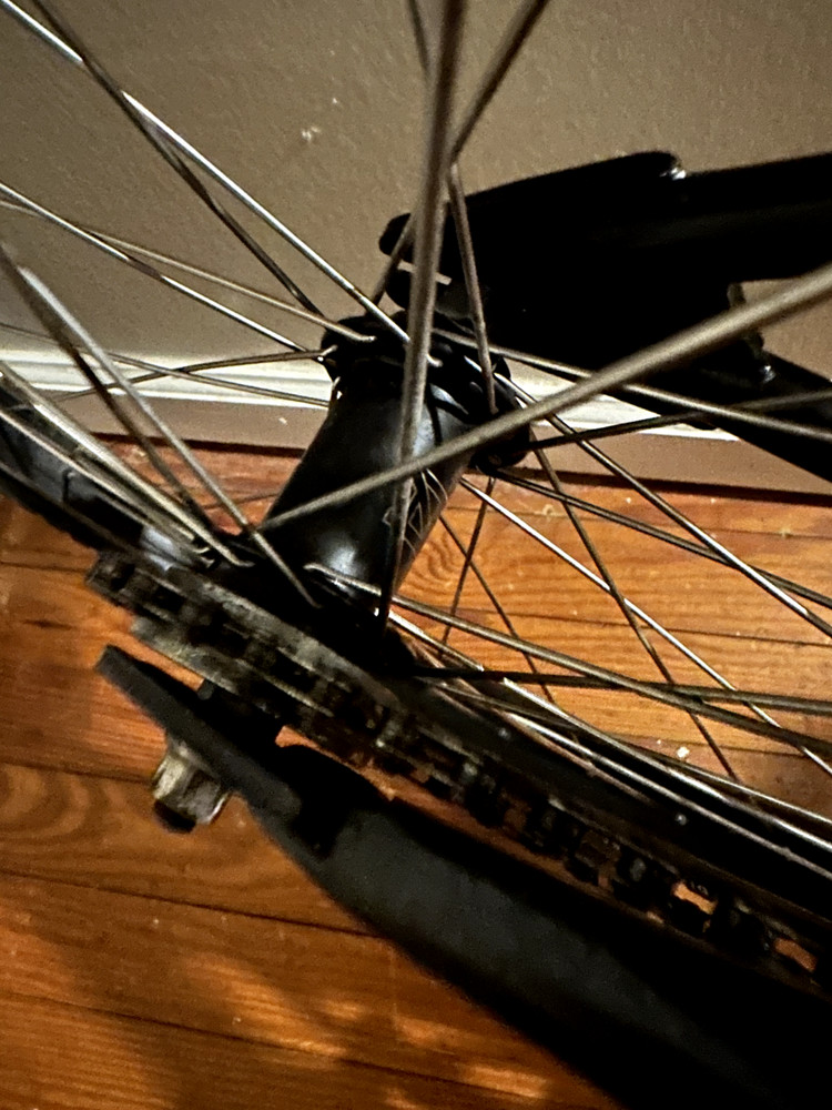 24 inch Free Agent Ambush