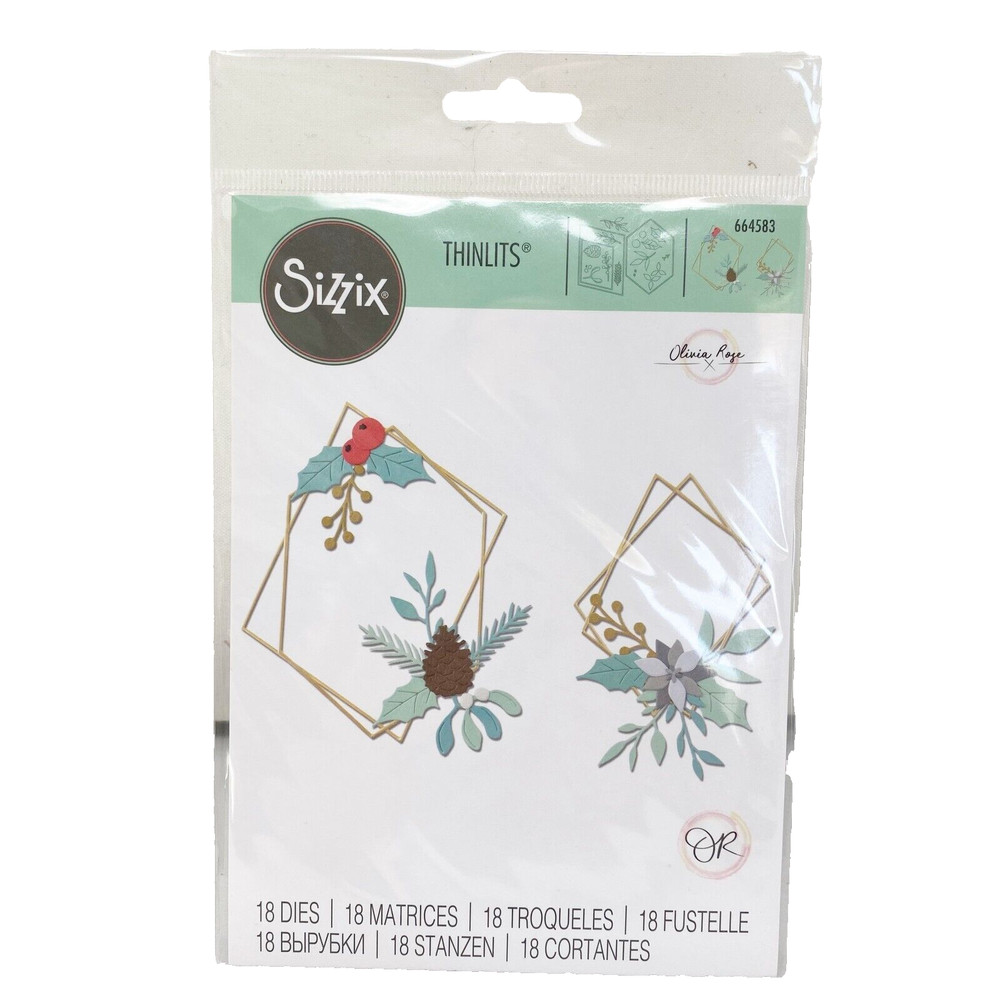 Sizzix Thinlits Geometric Winter Frame Cutting Dies by Olivia Rose 664583 NEW