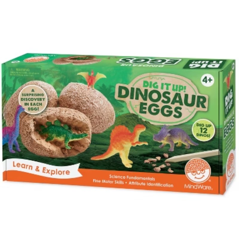 Dig It Up: Dinosaur Eggs