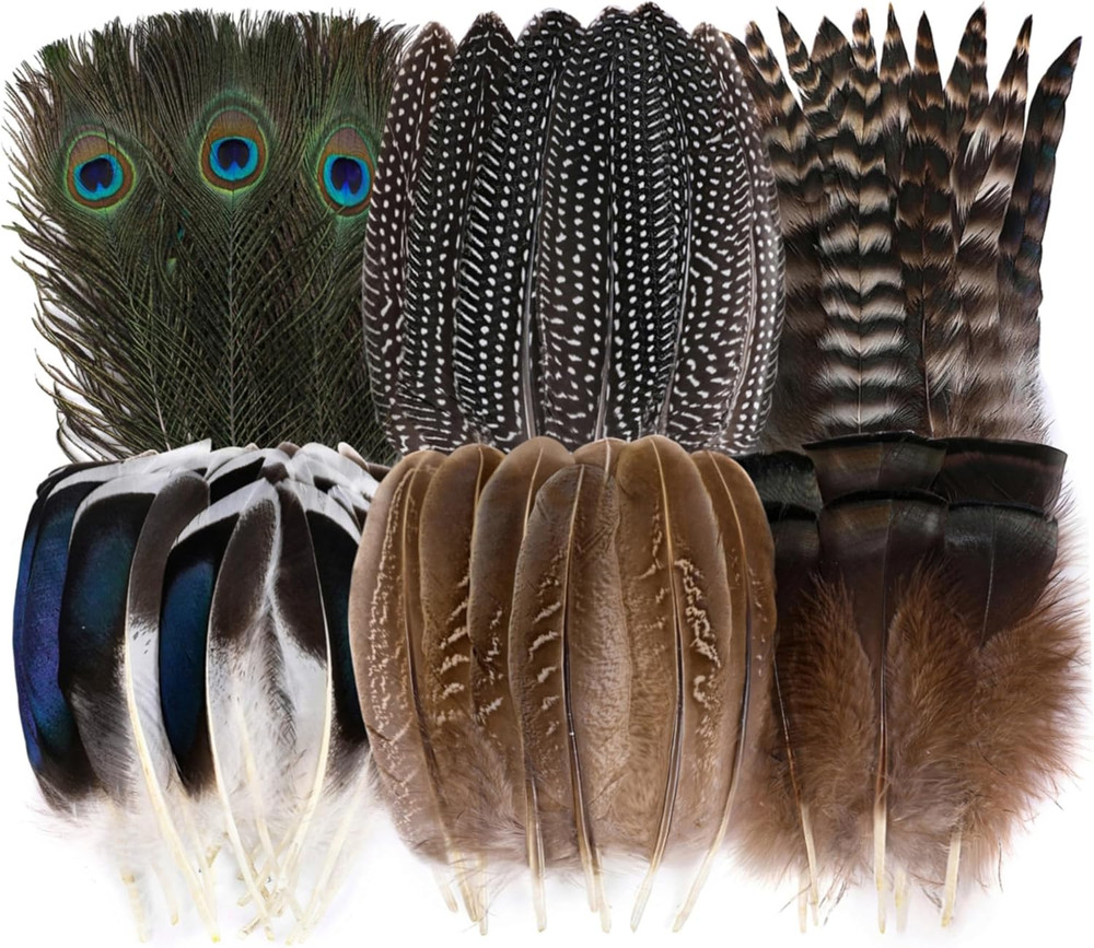 48 Pcs Natural Feathers Bulk Assorted Peacock Pheasant Turkey for Crafts Decor -