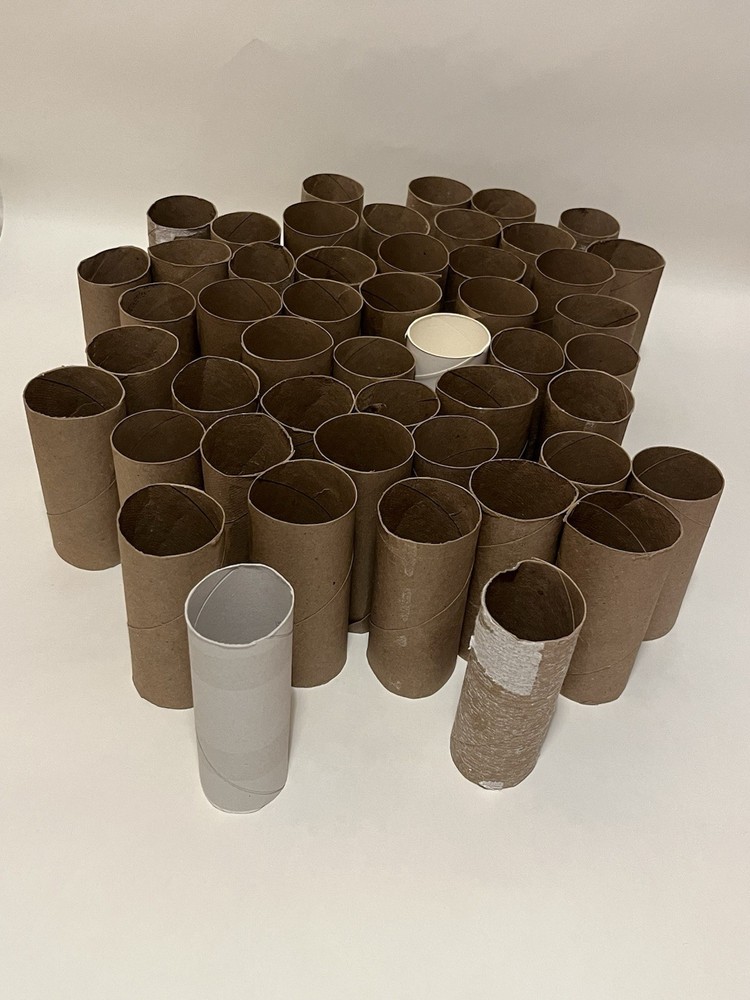 49 Assorted cardboard Toilet Paper Rolls