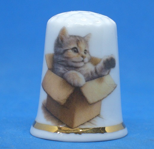 Birchcroft China Thimble -- Cat in a Box -  Free Dome Gift Box
