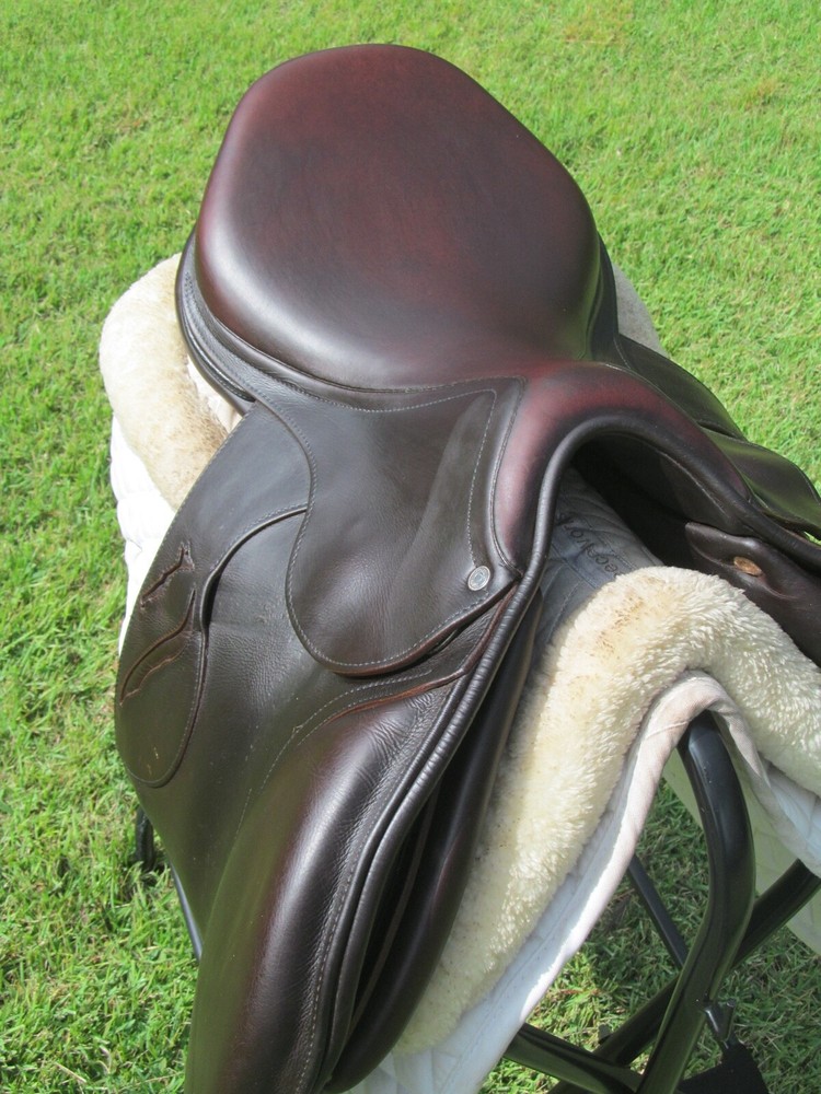 17.5" ANTARES EVOLUTION BUFFALO close contact jumping saddle ( MEDIUM TREE)-2021
