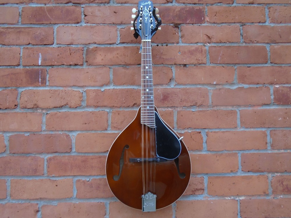 Kentucky MD256 mandolin w/bag & Neotech strap