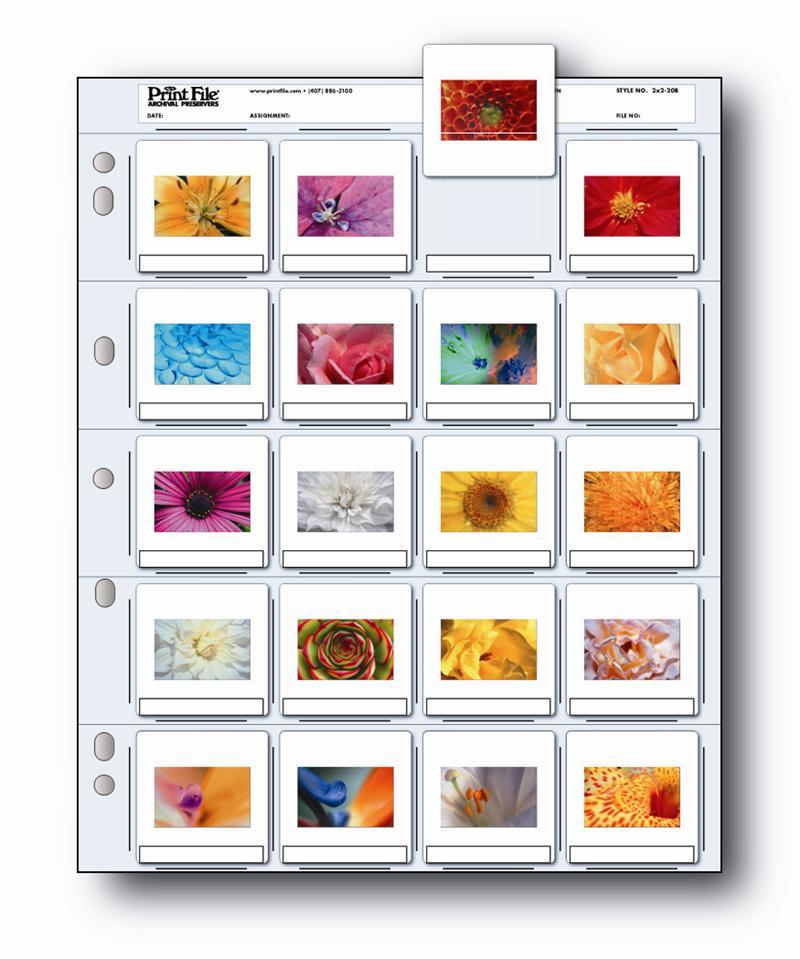 Print File 2x2 20B Archival 35mm Storage Sheets for 20 Slides, 25 Pages