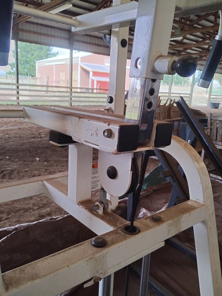 Hammer Strength Select Standing Calf 405 Lb Stack