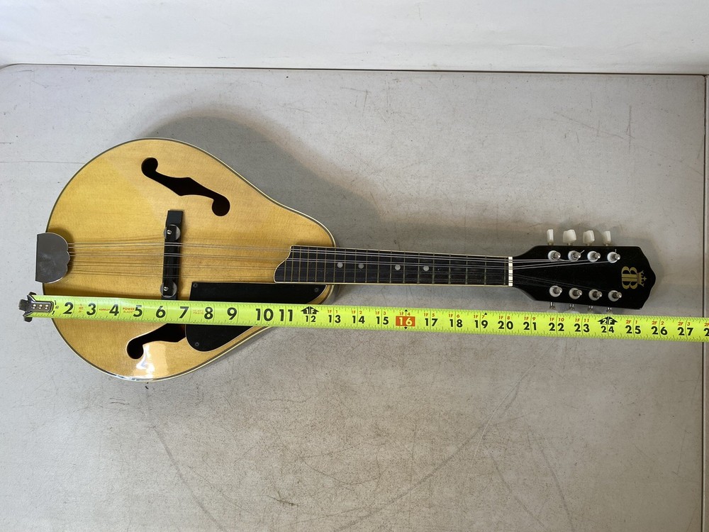 Mandolin BB B415 Instrument case & Accessories 41S9