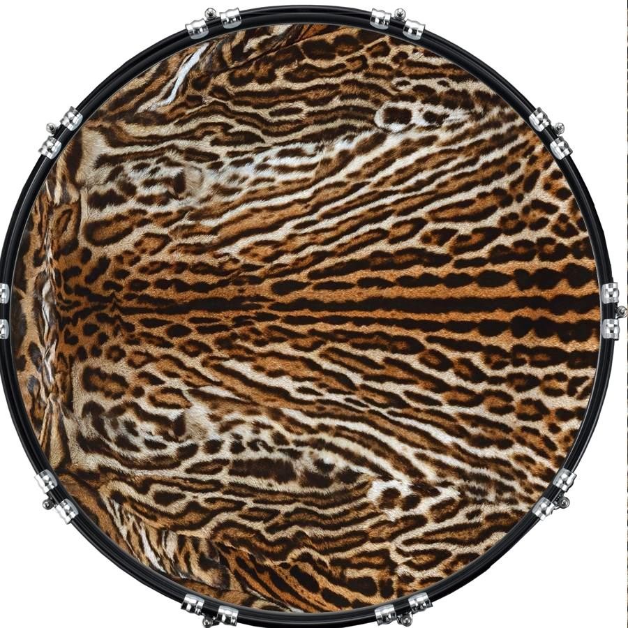 Aquarian 22" Kick Bass Drum Head Graphical Image Front Skin Leopard Print 3