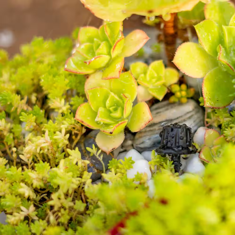 360-Degree Adjustable Drippers (10-Pack)