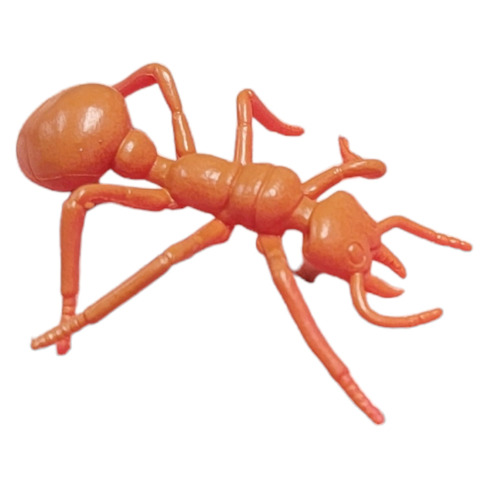 Large 2"-3" Insect Set (12 Pack) Plastic. 12 Realistic Looking Mini. Lady Bug