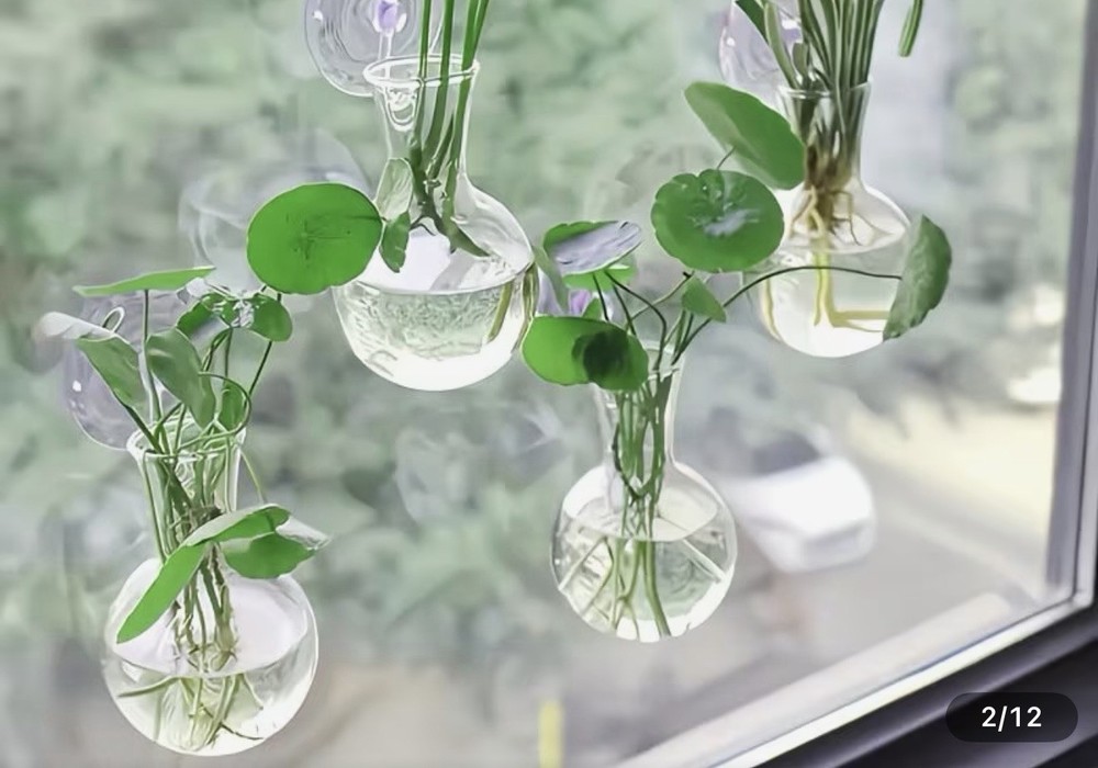 2 Pack Window Propagation Stations Plastic Wall Hanging Planter with Suction ...