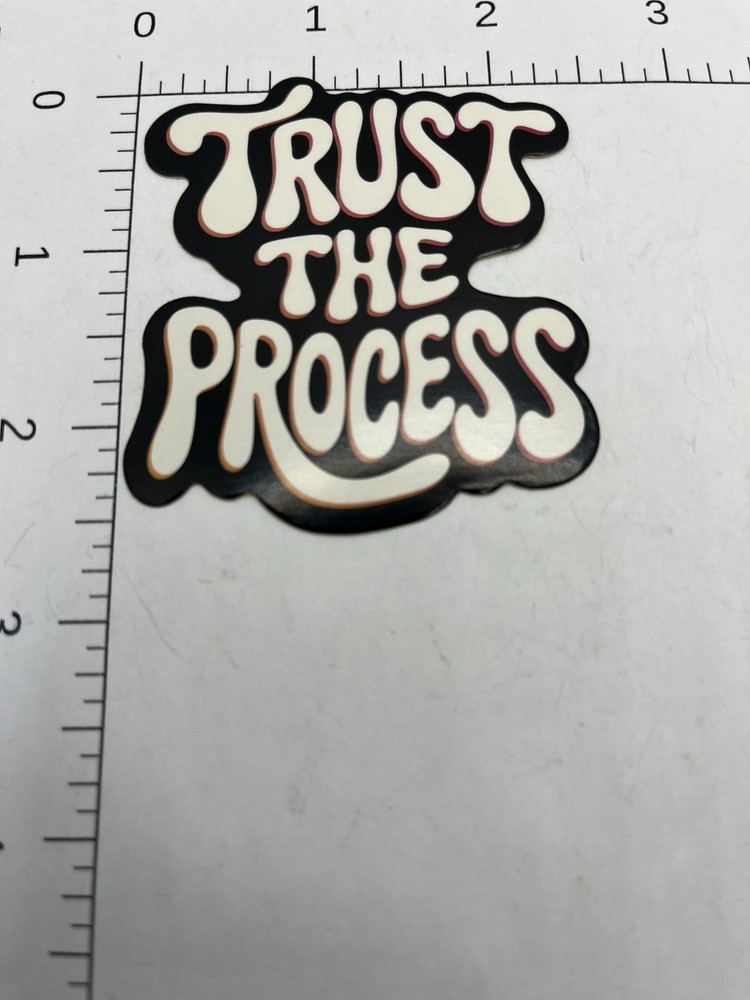 STICKER: motivational message Trust the Process