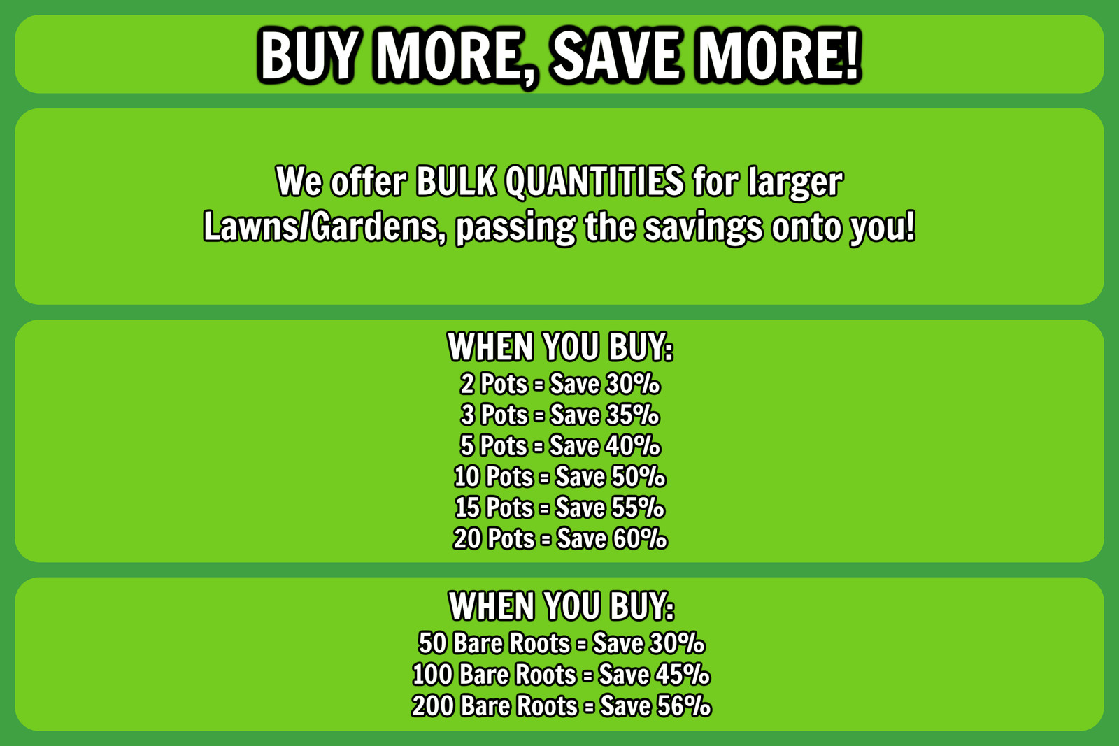 Live CREEPING ROSEMARY Plant / Rosmarinus Officinalis PROSTRATUS - [3.5" Pot]