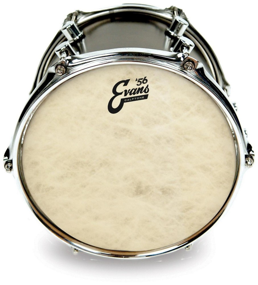 Evans Calftone Drumhead 15 in.