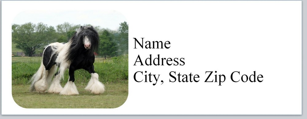 Personalized address labels Horse  (h c)
