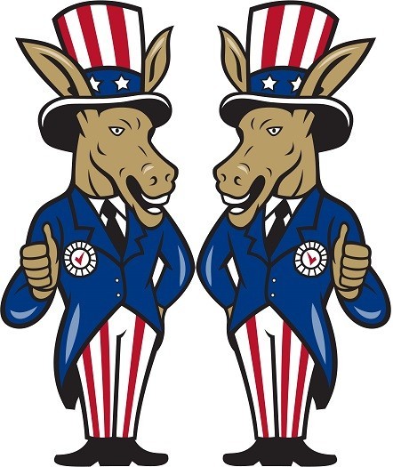 30 Custom USA Donkeys Personalized Address Labels